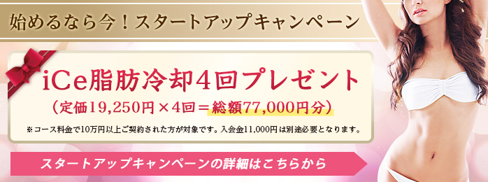 スタートアップキャンペーンでiCe脂肪冷却4回プレゼント（※10万円以上のコースをご契約された方へのプレゼントです。）