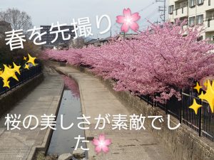 春を先取り🌸