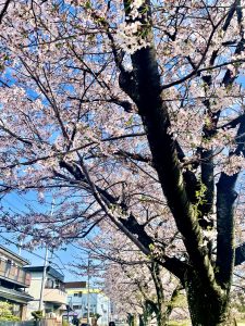 季節も身体もポカポカに🌸