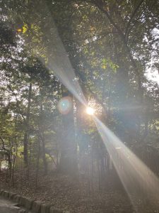 伊勢神宮に行ってきました😊