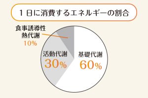 グラフ②