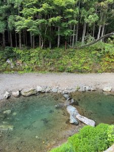 自然でマイナスイオンを感じてきました🎣✨️