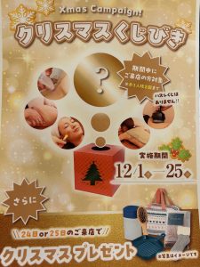 今年も残り1ヶ月になりましたね☆彡