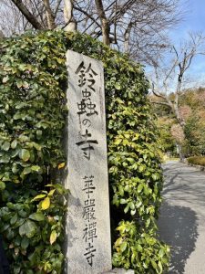 年末年始の過ごし方✨️⋆｡