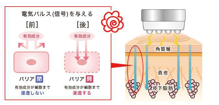 特殊電気パルスの仕組み