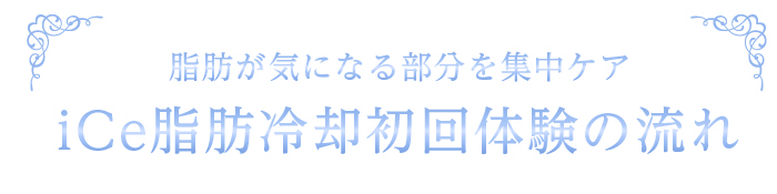 脂肪が気になる部分を集中ケアiCe脂肪冷却初回体験の流れ