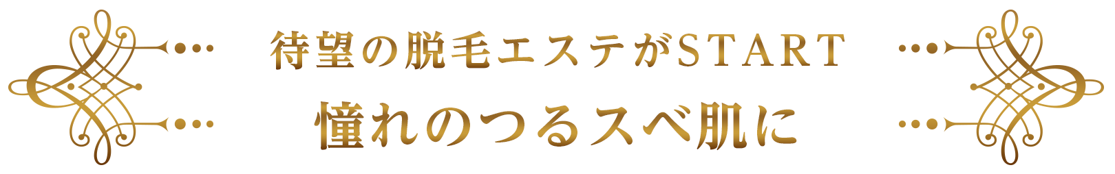 待望の脱毛エステがSTART憧れのつるスベ肌に