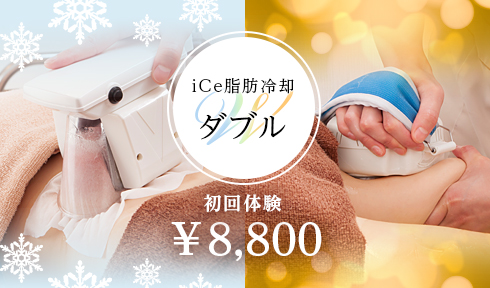 iCe脂肪冷却ダブル