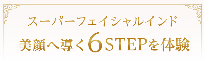 フェイシャルインド 美顔へ導く6STEPを体験