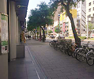 地上