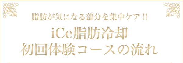 iCe脂肪冷却初回体験コースの流れ