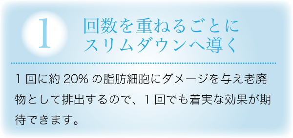 ①回数を重ねるごとにスリムダウンへ導く