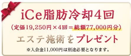 iCe脂肪冷却4回分(総額77,000円分)エステチケットプレゼント！※コース料金で10万円以上ご契約された方が対象です。入会金11,000円は別途必要となります。